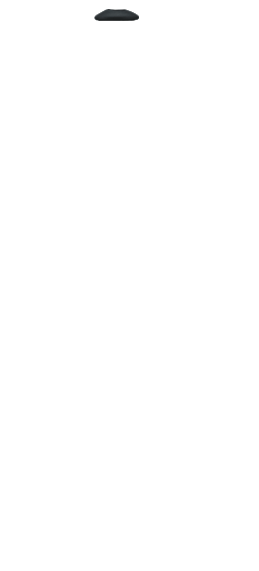 cap_12