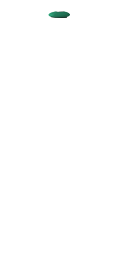 valve_10